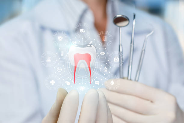 Best Traditional Braces  in Middletown, NY